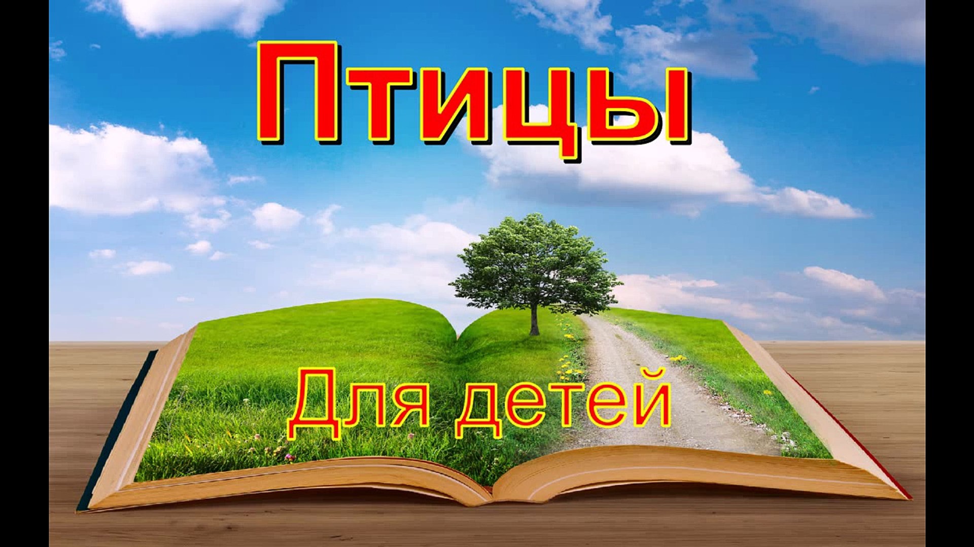 ⁣Развивающий мультик для детей по Доману от 1-3 лет Птицы для детей (часть-1)