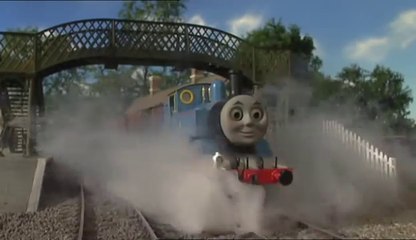 24 Chickens to School