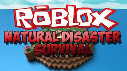 Trying To Survive The Natural Disaster