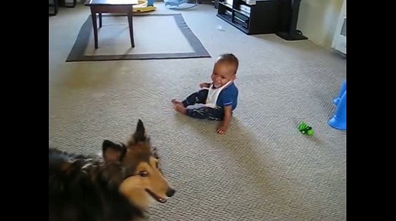 Une Famille à découvert ce que font leur Bébé et leur chien...