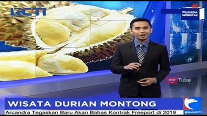 Berburu Durian Montong di Jember