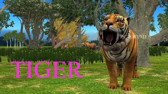 Learning Animal Sounds and Names for Kids & Toddlers | 3D Animation Animals Video for Kids
