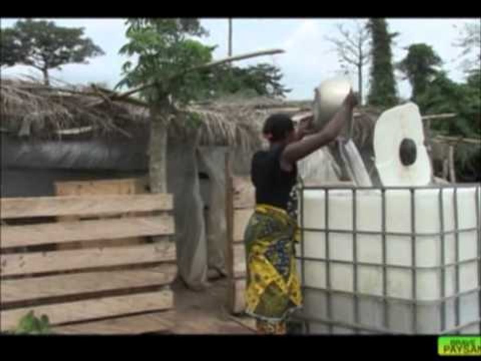 Brave Paysan / Culture de la banane plantain (1ere partie)