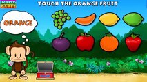 Education Cartoon Monkey Preschool Lunchbox Learn Names Fruits and Vegetables Game for kids