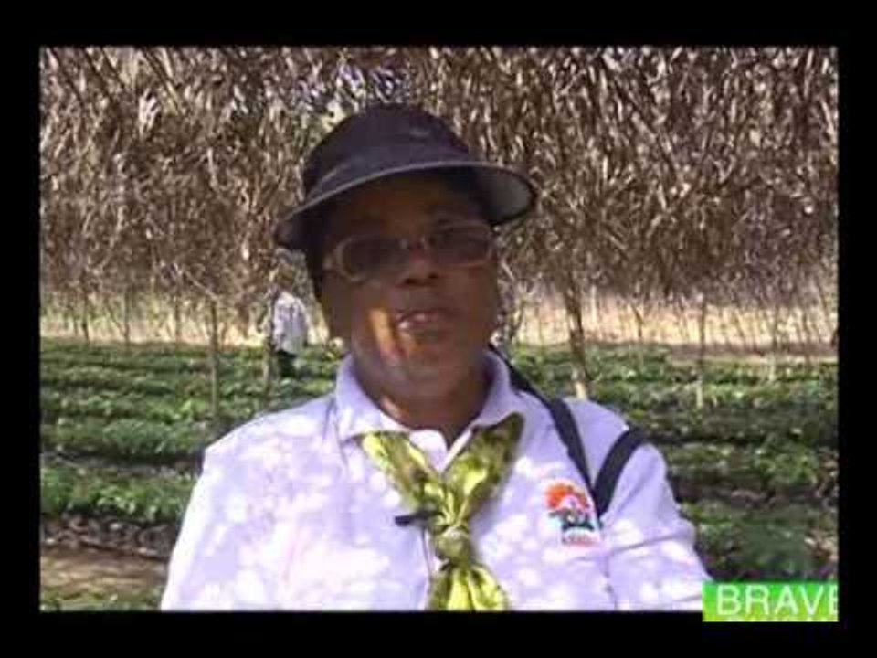 Brave paysan / Le rôle de l'ANADER au côté des paysans