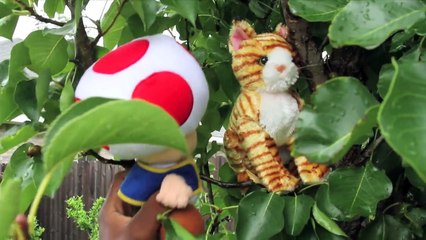 SML Short: Stuck in a tree