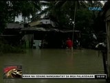 24 Oras: Mga magsasaka sa Ilocos Region, lugi matapos bahain ang mga palayan