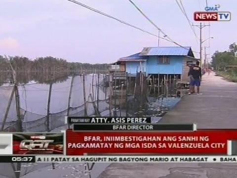 QRT: Panayam kay Atty. Asis Perez, BFAR Director