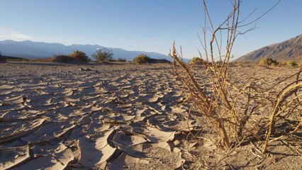 2016 Was the Hottest Year on Record. Blame Humanity