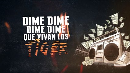 Sensato ft Tali & Lito Kirino - Que Vivan Los Tiger (Video Lyrics)