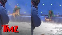 Un dresseur force un chien terrifié à rentrer dans l'eau pendant le tournage de « Mes vies de chien »