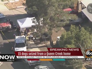 15 dogs seized from Queen Creek home living in deplorable conditions Wednesday