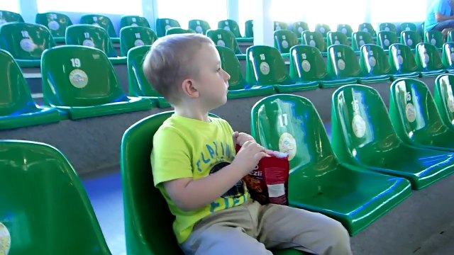 Дельфинарий в Минске. Морские львы и дельфины