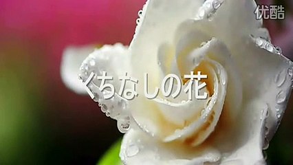 くちなしの花・・石原裕次郎&テレサ・テン