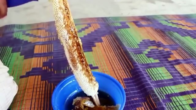 Старайся Не Залипнуть на 10 минут! Самое залипательное Видео :)