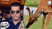 Salman Khan TROLLED On Arms Act Case Verdict
