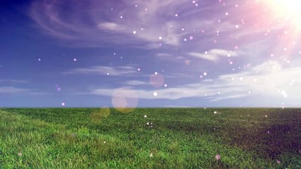 floating particles open field ZktFoz5xB