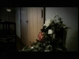 樹海 - こもりうた