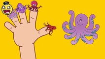 Youtube Nursery Rhymes | Octopus Family Fingers | Daddy Finger Where Are You
