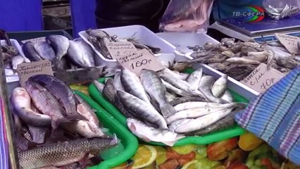 ТВ Сфера-выпуск 18 января