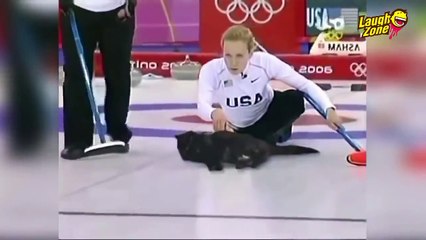 FUNNIEST Animal Compilation Ever 2015 Collection