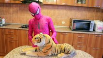 Розовый становится Девушка-паук TIGER! Человек-паук против Джокером против Frozen Эльзы против Супермена Fun Супергерои