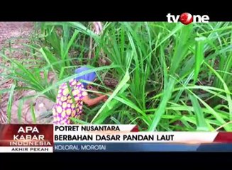 Pulai Kolorai, Pantai Nan Indah dan Laut yang Biru