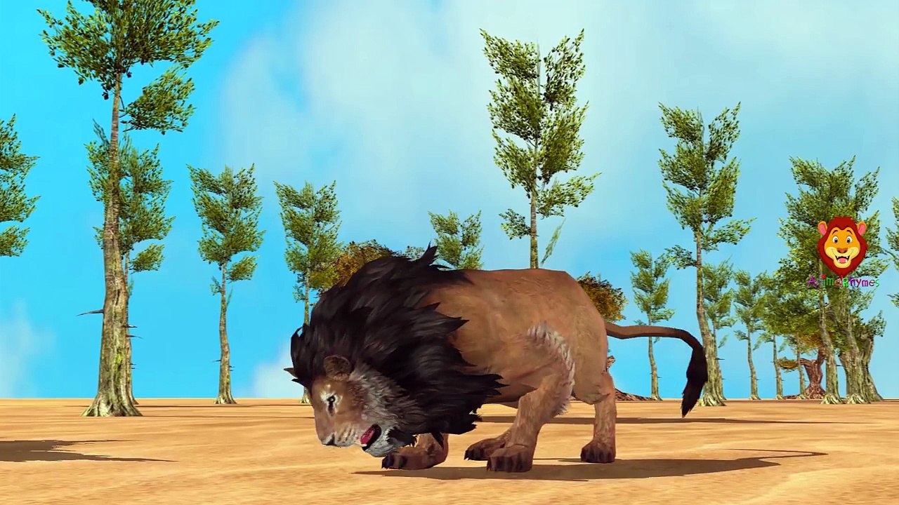 Wild Animals Finger Family Songs | Animals Finger Family Nursery Rhymes By Animals Rhymes