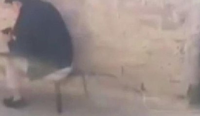 Bu şaka insanı çileden çıkarır