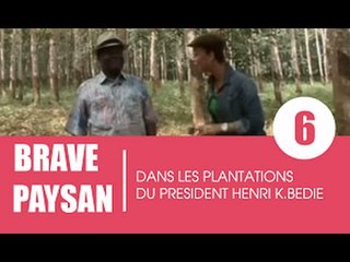 Brave paysan / Le président Bédié nous ouvre les portes de ses plantations (1ere partie)