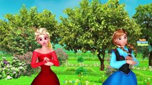 Frozen Elsa Finger Family Rhymes | Frozen Songs For Children Nursery Rhymes Collection