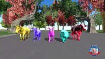 3d animation Colors dinosaurs wild Animals finger family songs for kids Nursery rhymes for Toddlers