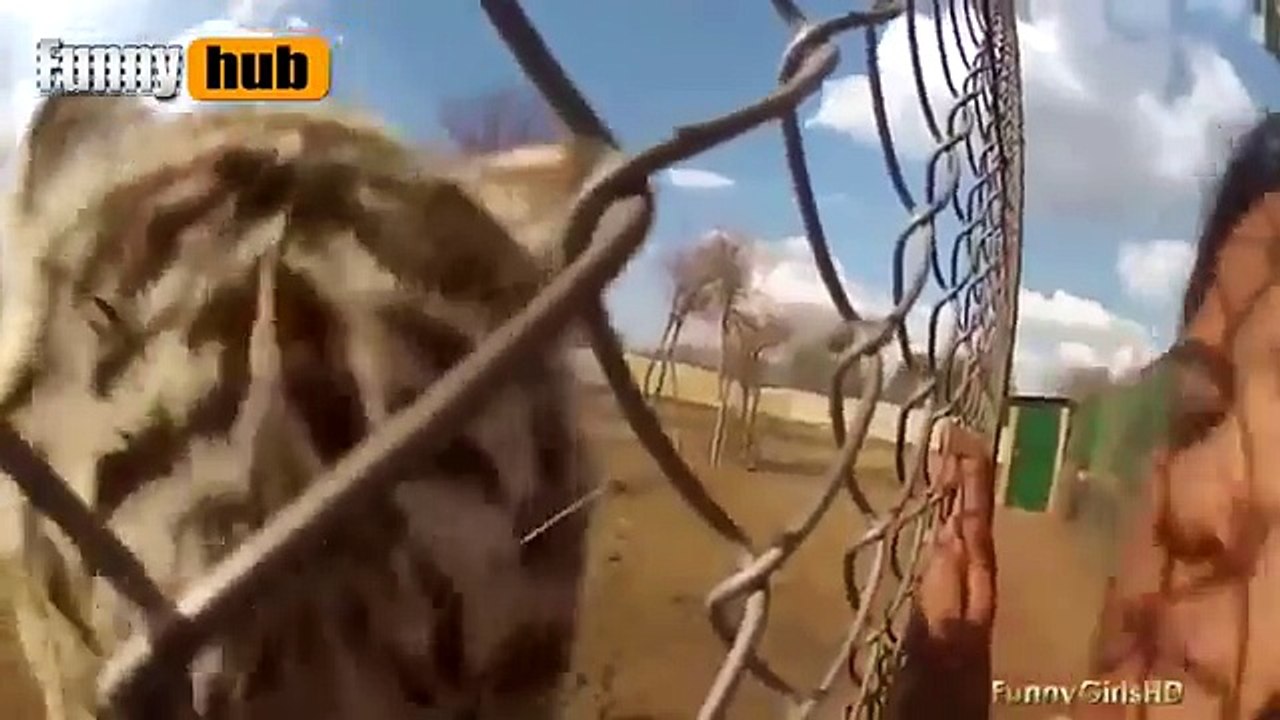 Funny Videos Top Funny Girls Fails Compilation 2015 Best Funny Videos 2015