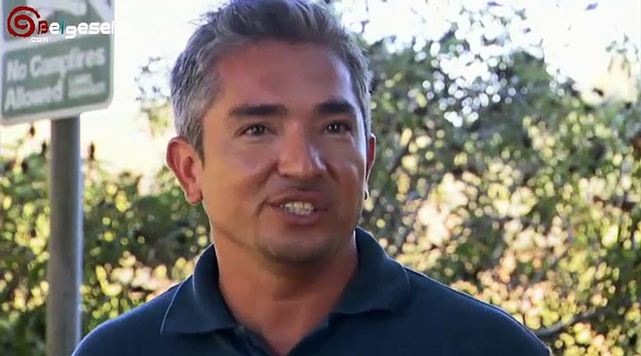 Köpeklere Fısıldayan Adam-  Köpek Parkı