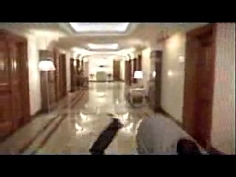 Lewis Hamilton ft. Fernando Alonso Funny