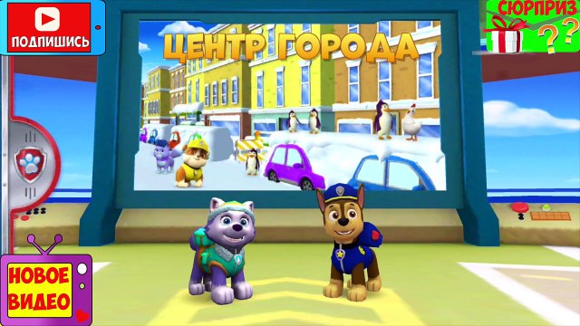 Щенячий Патруль Гонщик и новый щенок Эверест - Paw Patrol Racers and the new pup Everest