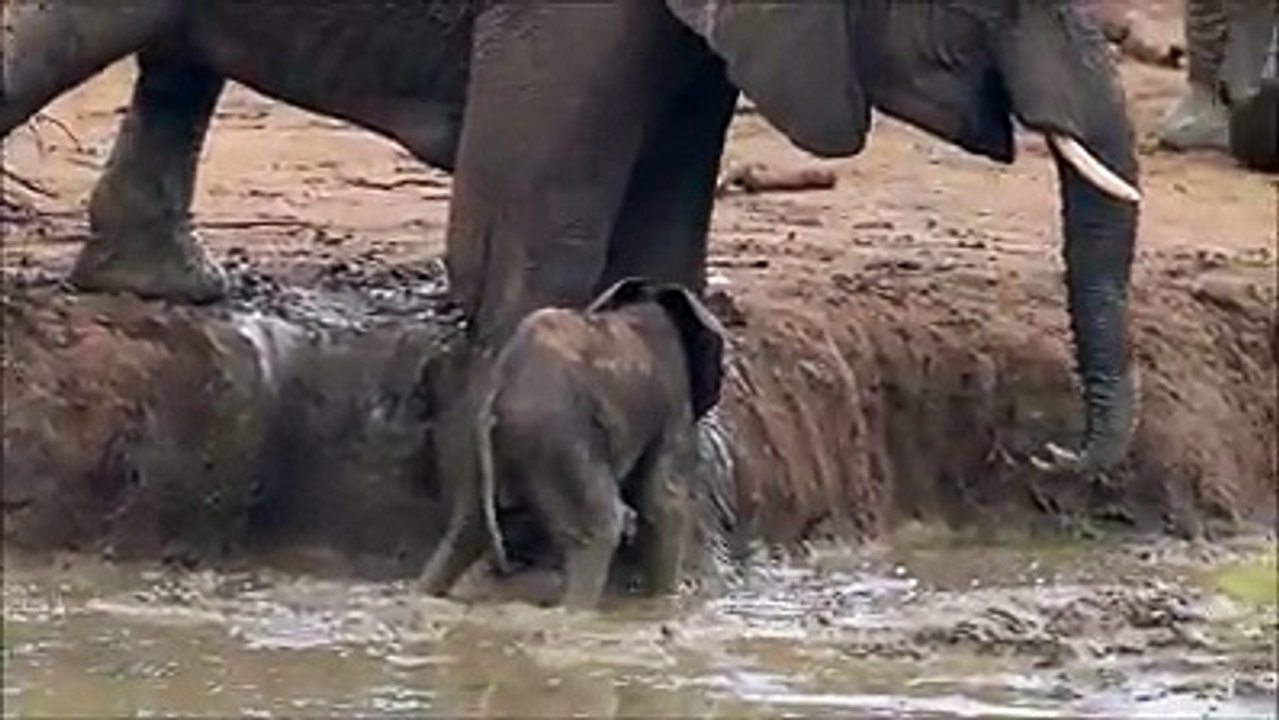 beatiful video in the world