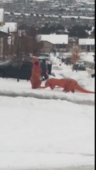 T-Rex snowball fight
