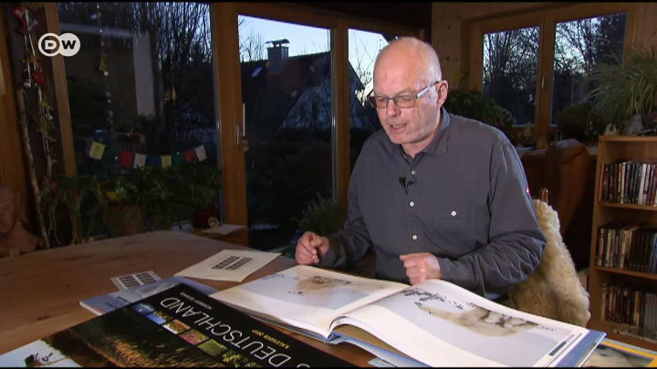 Kühle Kunst: Der Eisbärenfotograf | Euromaxx