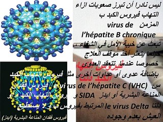 Traitement de l’hépatite chronique Delta ; présent , futur