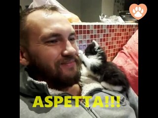 ASPETTA UMANO...IL TUO PELO E' DIVERSO DAL MIO!!!