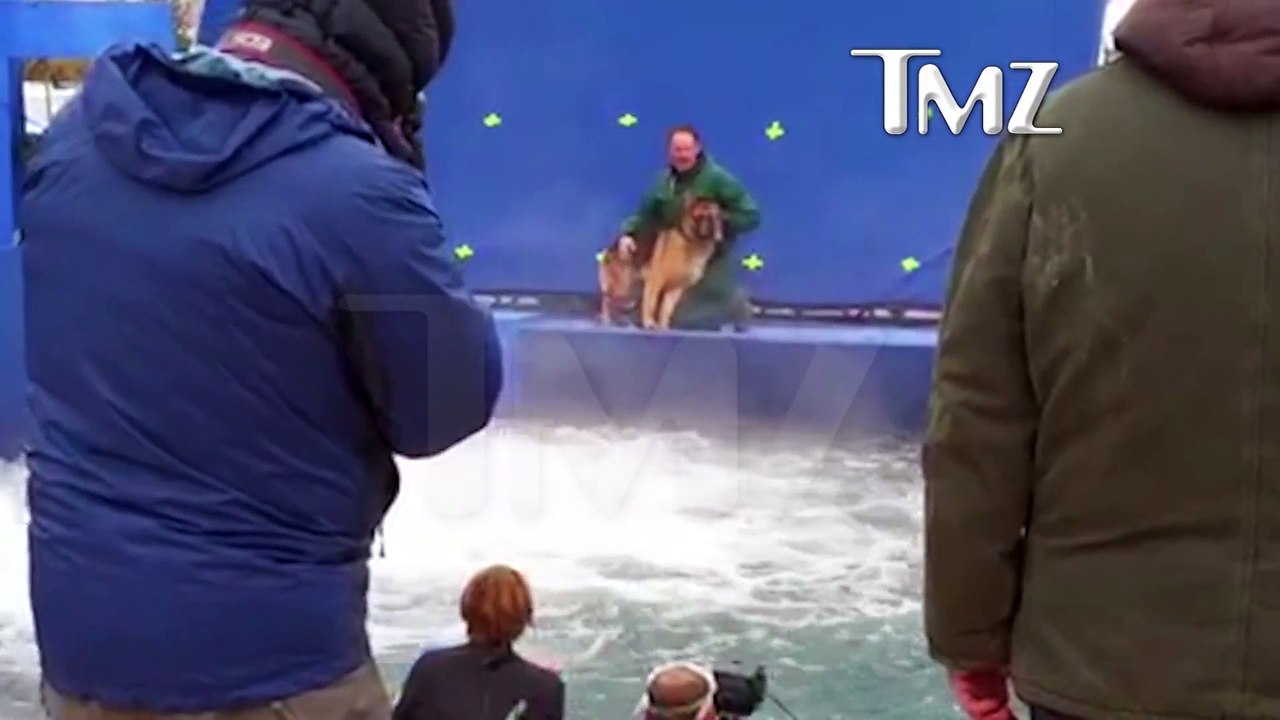 Un dresseur force un chien terrifié à rentrer dans leau pendant le tournage de « Mes vies de chien »