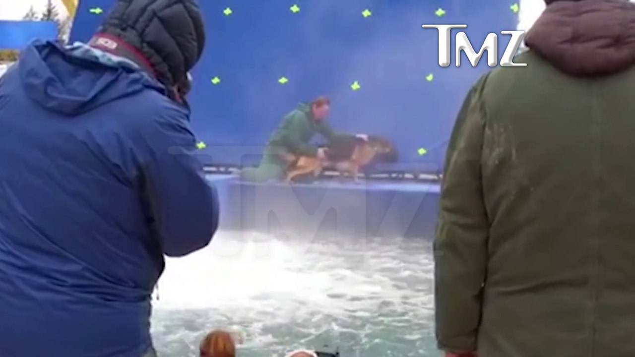 Un dresseur force son chien à sauter dans des eaux turbulentes pour tourner une scène de film...