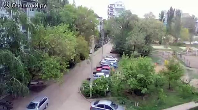 Ворона гоняет мяч