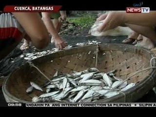 SONA: Isdang tawilis, unti-unti na raw nauubos, ayon sa samahan ng mga mangingisda
