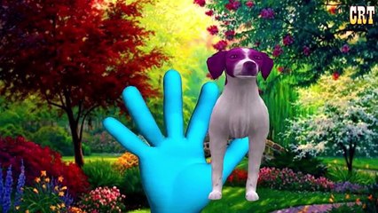 Animal Musics Song | Learning Animals Nursery Rhymes For Kids Children Rhyme