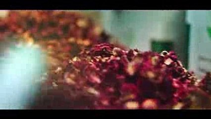 Tu Hai Sanam-RAEES_Full Hd Video Song_Altaaf sayyed 2017