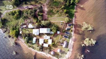 A new home for hunted chimps | Eco-at-Africa