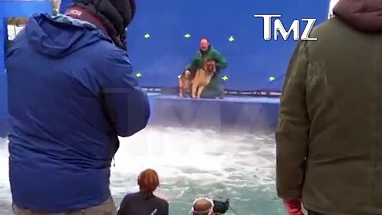 Ils forcent un chien apeuré à sauter dans l'eau pendant un tournage !