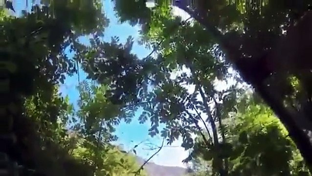 Le cycliste Joaquim Rodriguez chute et passe par-dessus une barrière